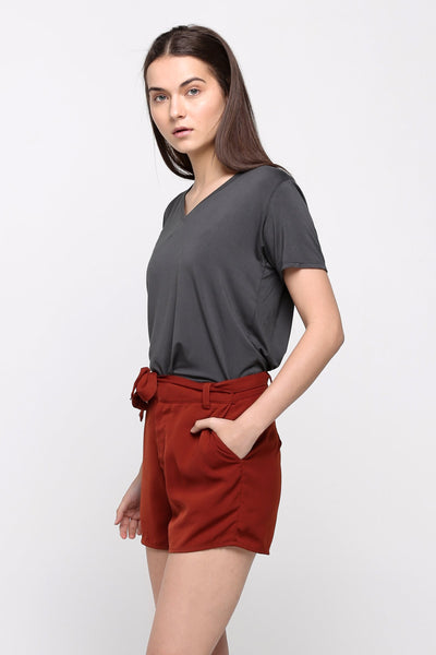 Super Soft Regular Fit V-Neck Tee