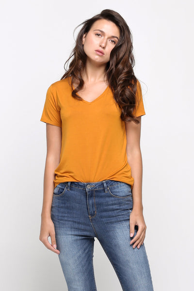 Super Soft Regular Fit V-Neck Tee