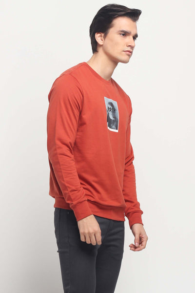 Pullover With Graphic Print