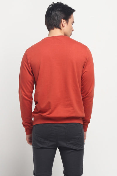 Pullover With Graphic Print